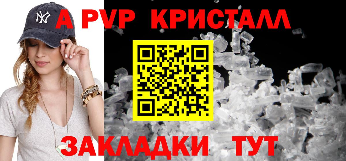A PVP СК КРИС Шебекино