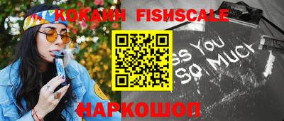 мет Камышлов