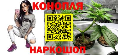 2c-b Канаш
