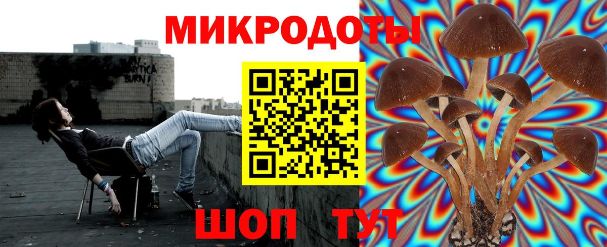 Шебекино  Псилоцибиновые грибы Cubensis  как найти наркотики  Вход с VPN  Галлюциногенные грибы Psilocybe 