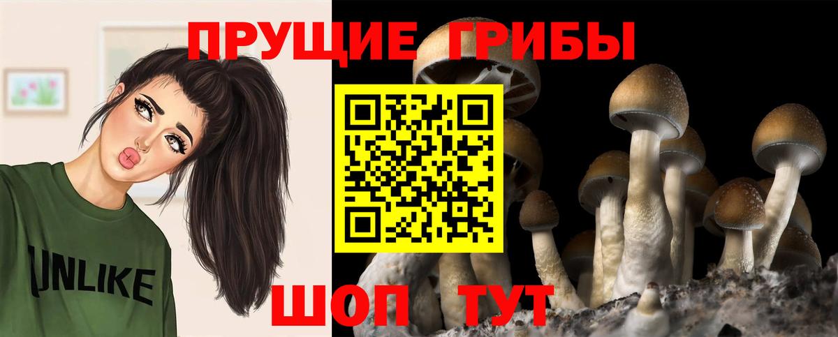 Псилоцибиновые грибы Magic Shrooms Шебекино